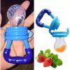 Food Pacifier + Feeder Spoon / Fresh Fruit Food Baby , Feeding Safe Fruit Feeder - Random Color