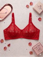 Net Non-Padded Bra & Briefs Set for Women - Areeba Mart - Areeba Mart