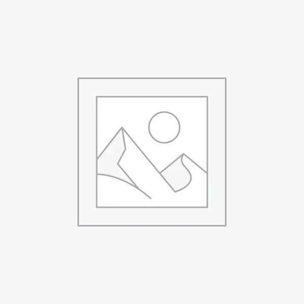 4-in-1 Massage Gun | Deep Tissue Percussion Massager with 4 Attachments | Handheld Electric Muscle Therapy Device